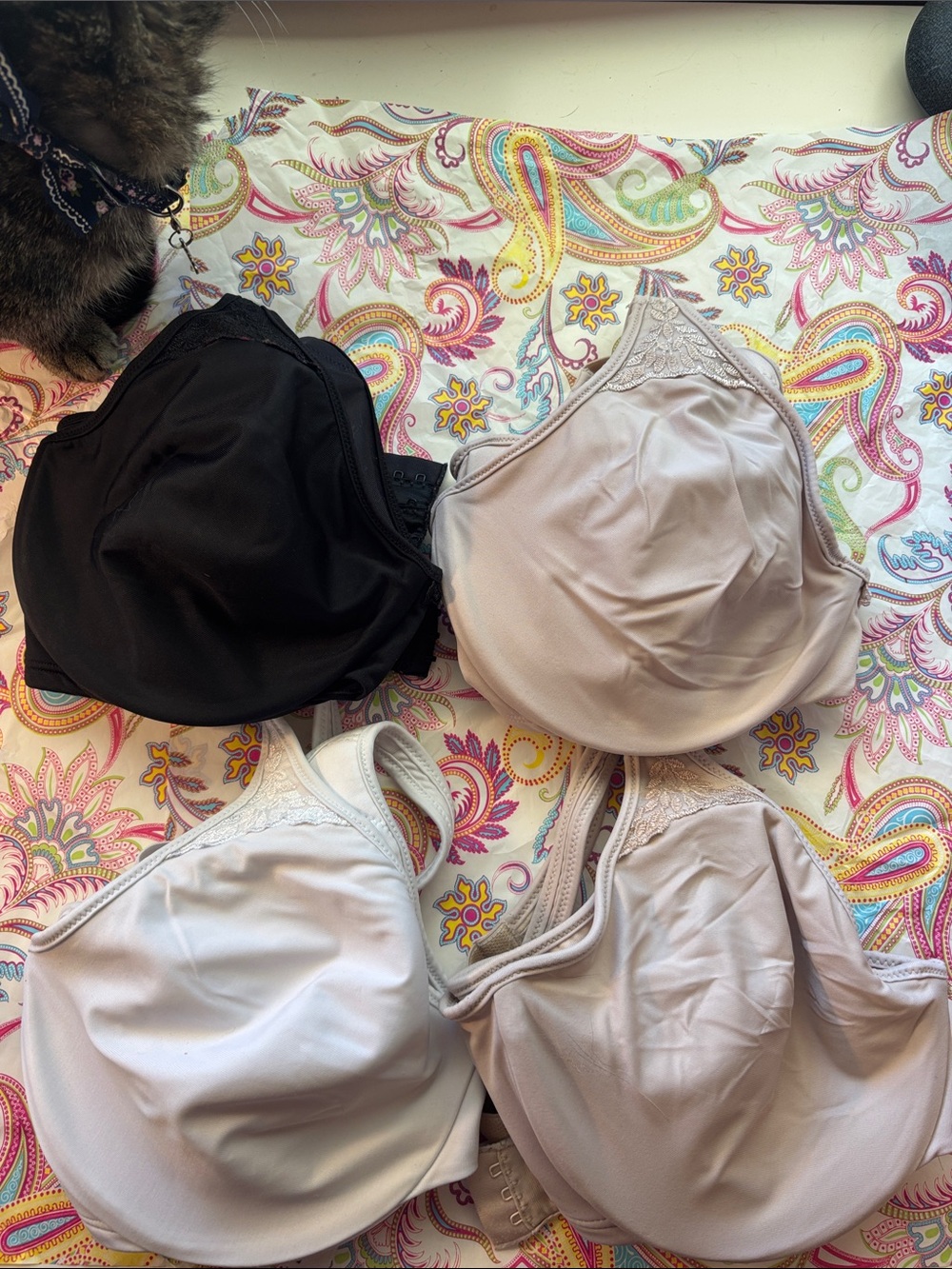 Bali Seamless Full-Coverage Bras White, Black & Nude Tones